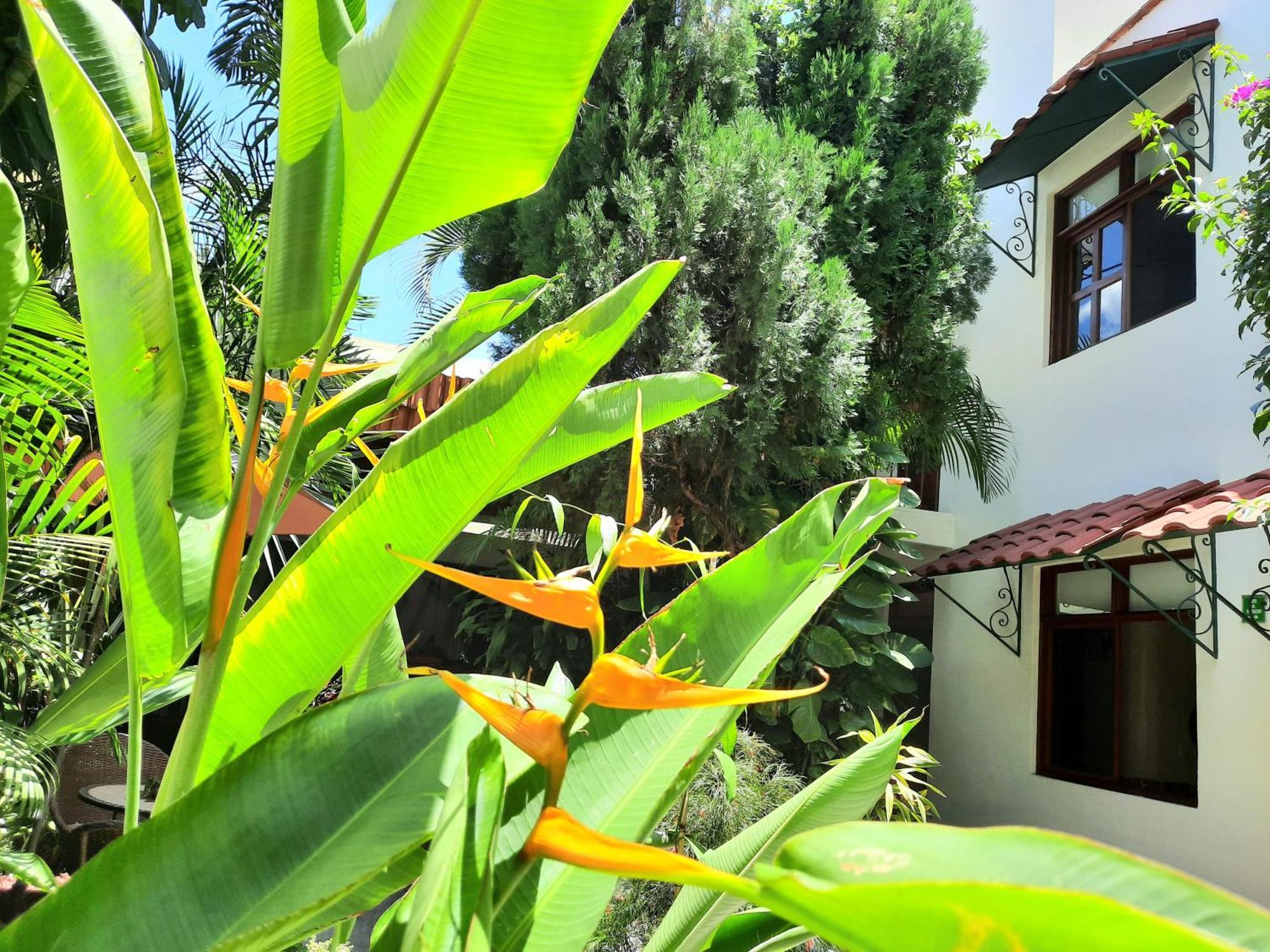 Casa Los Cantaros Hotel Boutique Oaxaca Zewnętrze zdjęcie