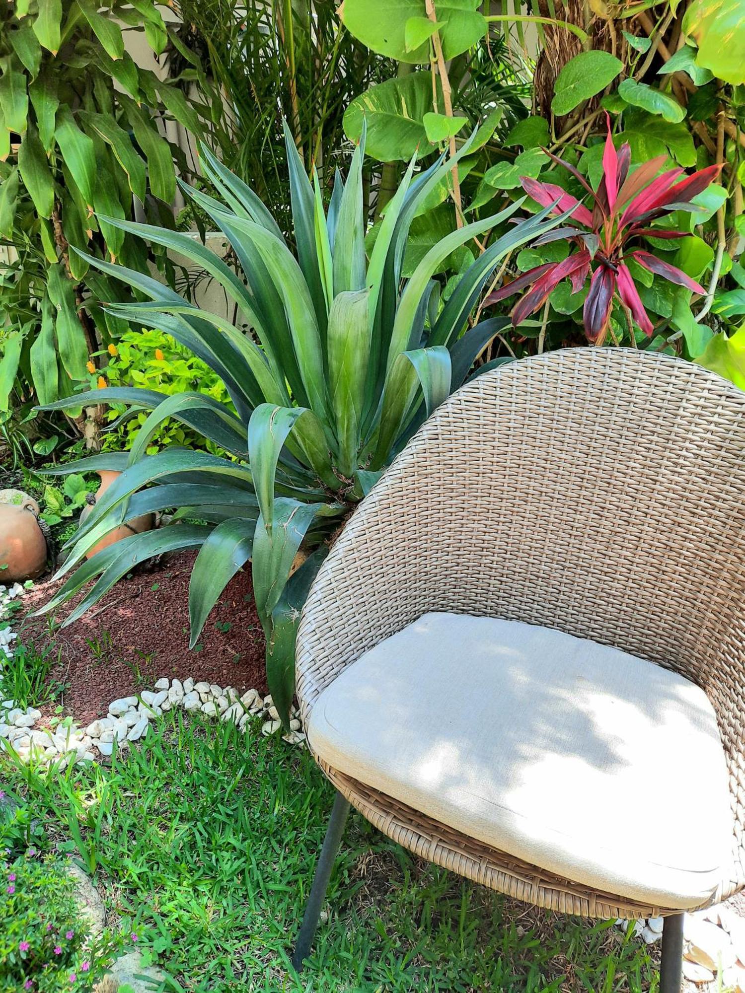 Casa Los Cantaros Hotel Boutique Oaxaca Zewnętrze zdjęcie