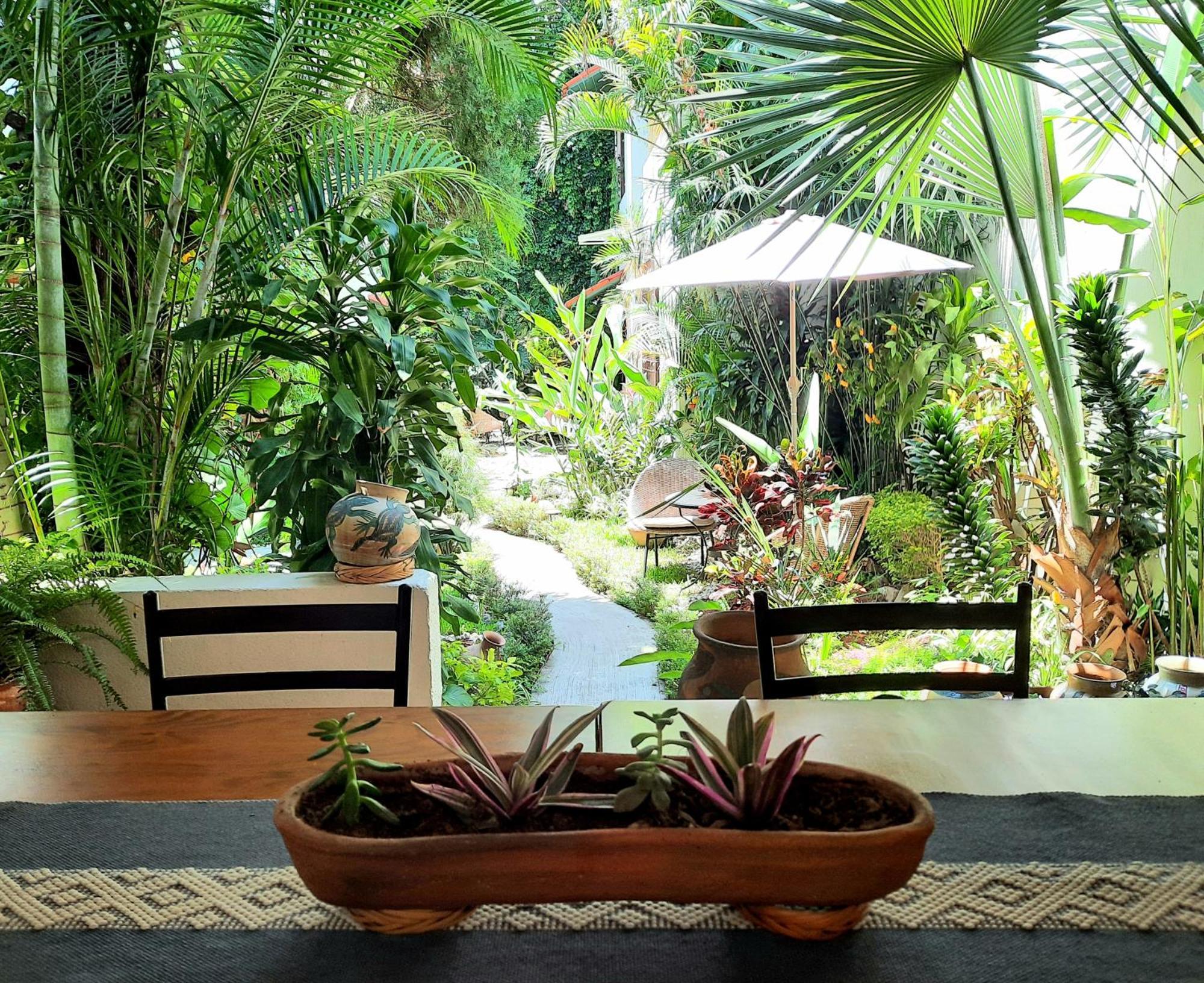 Casa Los Cantaros Hotel Boutique Oaxaca Zewnętrze zdjęcie